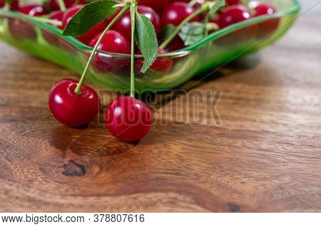 New Harvest Of Red Ripe Juicy Sour Cherry Or Kriek Berry Fruit