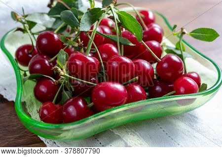 New Harvest Of Red Ripe Juicy Sour Cherry Or Kriek Berry Fruit