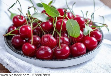 New Harvest Of Red Ripe Juicy Sour Cherry Or Kriek Berry Fruit