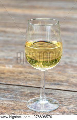 Tasting Of Dutch Dry White Wine In Glass On Vineyard In Summer