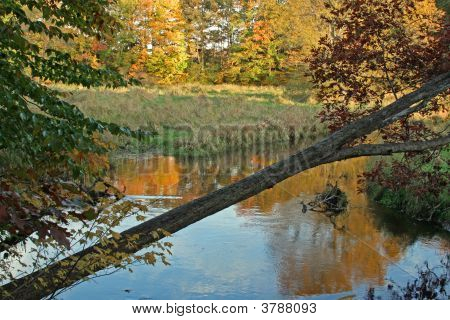 ein Michigan-Fluss im Herbst