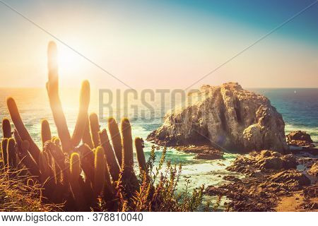 Rocky Island With Cactuses On The Foreground Near Coastilne Of Pacific Ocean At Sunset In Chile