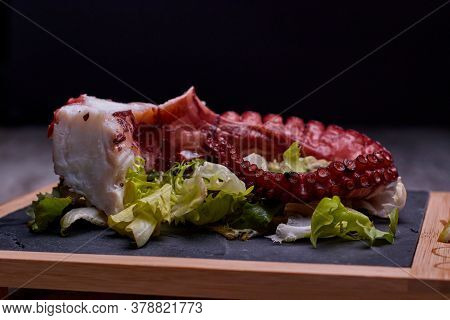 Night Photography Of A Plate Of Octopus And Oil With Salad
