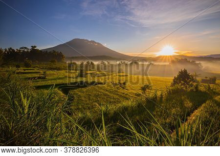 Beautiful Landscape During Sunrise. Rice Paddies With Agung Volcano On The Background. Scenic Panora