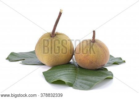 Ripe Santol Or Sentul Fruit (sandoricum Koetjape) With Leaf Isolated On White Background.