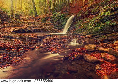 Autumn Mountain Waterfall Stream In The Rocks With Colorful Red Fallen Dry Leaves, Natural Seasonal 