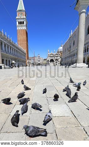San Marco Bell Tower In Venice And Pigeons In A Deserted Square Without People Due To The Lockdown C