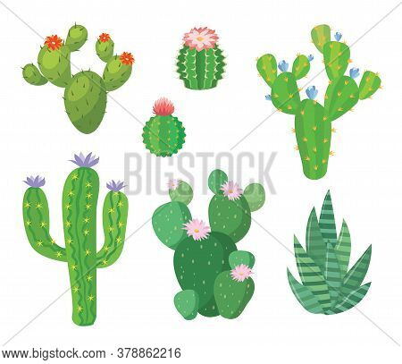 Cartoon Cactus Set. Vector Set Of Bright Cacti And Aloe. Colored, Bright Cacti Flowers Isolated On W