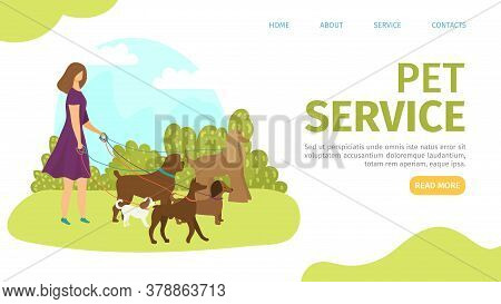 Animal Dog Outdoor Service, Woman Character Care And Walk With Pet Banner Vector Illustration. Woman