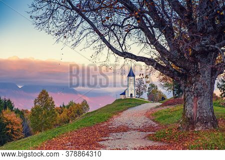 Beautiful Sunset Landscape Of Church Jamnik In Slovenia On Green Hill With The Trees And Pink Sky