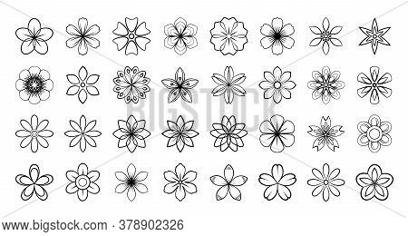 Set Of Floral Elements. Vector Flowers Black Outline Collection, Line Art Flowers For Your Design, I