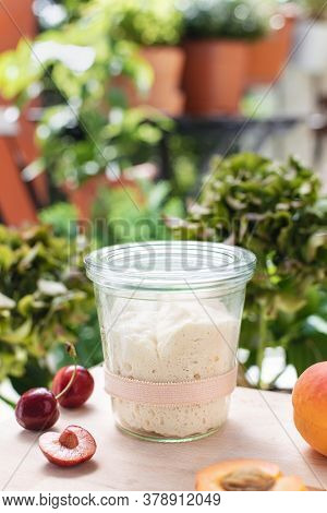 Lievito Madre, Wheat Italian Sourdough Starter For Artisan Bakery