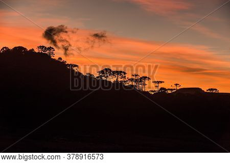 Sunrise In The Sierra Catarinense, Colorful Sky With Silhouette Of Araucarias Forest.