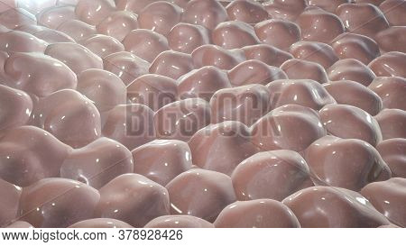 Layer Of Cells, 3d Illustration, Research Background Perfect To Illustrate Skin, Epithelium, Stem Ce