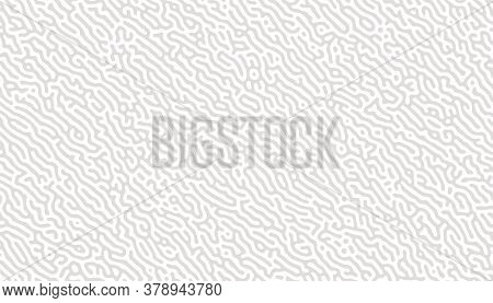 Abstract Organic Lines Turing Pattern Background Design