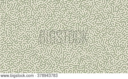 Turing Pattern Structure Oraganic Pattern Background Design