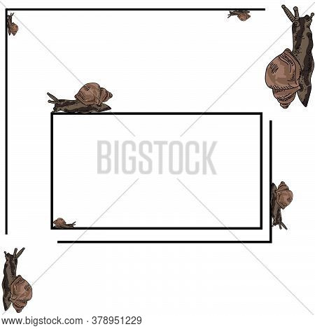 Rectangular Thin Frame For An Inscription With Brown Snails Crawling Around, Vector Illustration On 
