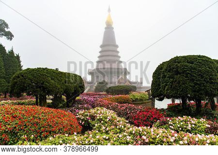 The Beautiful Flowers Garden On Doi Inthanon (2,565 Metres) The Highest Mountains Peak In Thailand D