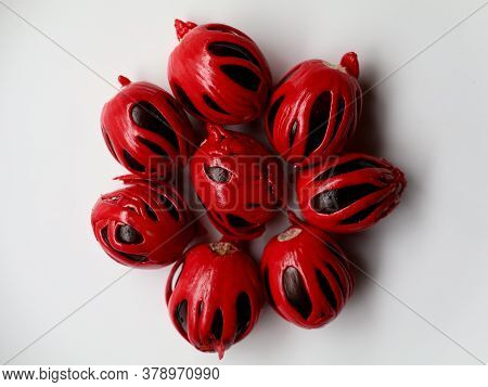Fresh Nutmeg With Red Mace Kept Against White Background.