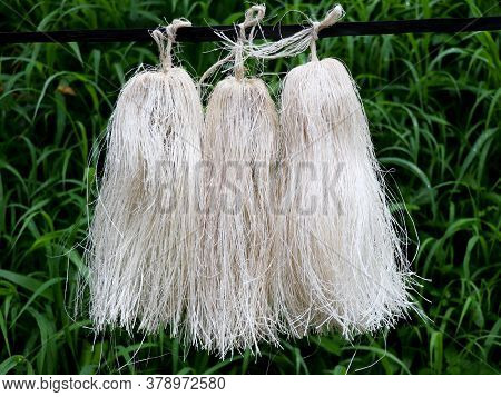 Odapoovu Or Bamboo Flower, Made Of Beaten Bamboo,a  Special Offering At Kottiyoor Temple.
Kottiyoor 