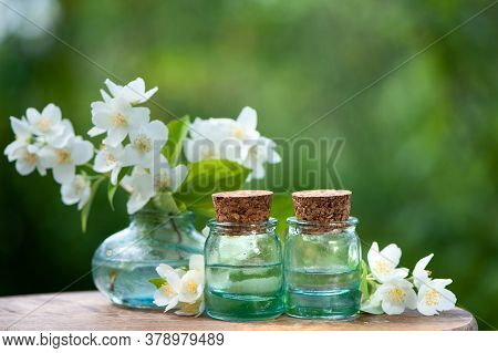 Essential Jasmine Oil. Bioproduct, Organic Cosmetics. Perfumery, Cosmetology, Aromatherapy