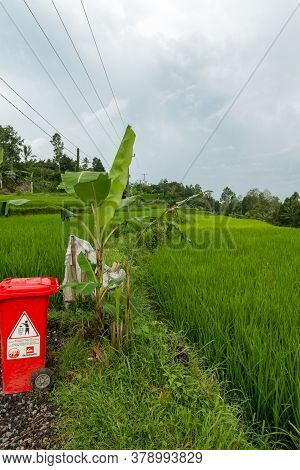 Jatiluwih, Bali Indonesia - April 22, 2013: View Of Jatiluwih Mountain Region Of Bali Island. The Pl