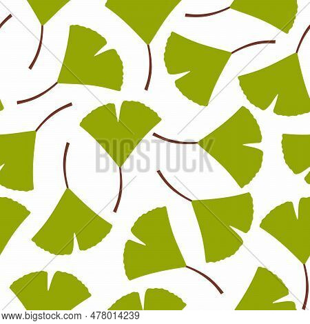Green Ginkgo Leaves Background. Seamless Pattern With Ginkgo Tree Leaves On White Background. Sketch