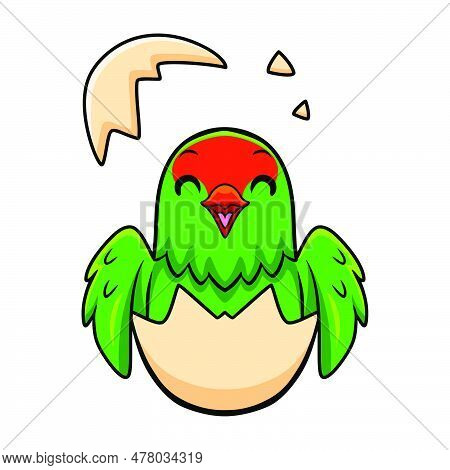 Vector Illustration Of Cute Black Winged Lovebird Cartoon Inside From Egg