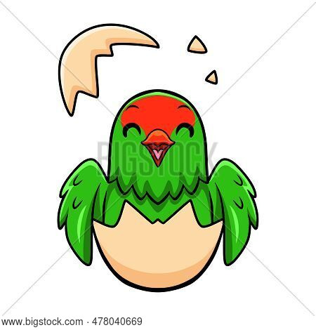 Vector Illustration Of Cute Black Winged Lovebird Cartoon Inside From Egg
