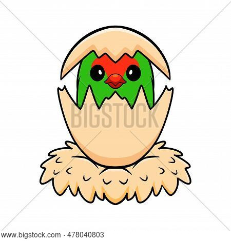 Vector Illustration Of Cute Black Winged Lovebird Cartoon Inside From Egg