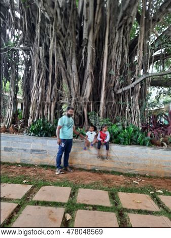 Indian Father With Daughter And Toddler Boy Kid Walking And Sitting In A Machohalli Forest Gate.