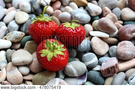 Textured Surface Of Colored Pebbles With Fresh Strawberries On It Stock Photo For Backgrounds