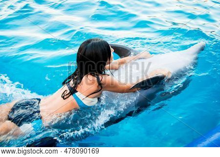 Caucasian Woman Swim With Dolphin In Pool. Batumi Swim With Dolphin Experience Concept