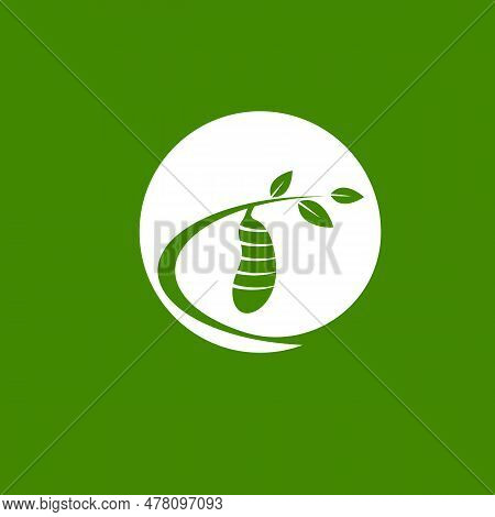Cocoon Logo Vector Illustration Design Template