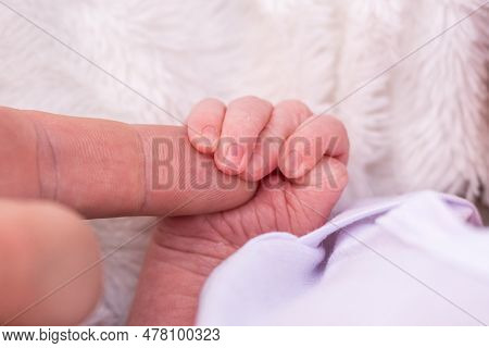 Sweet Tiny New Born Baby Hand Hold Mum Index Finger. Concept Relationship Between Mother Or Parants 