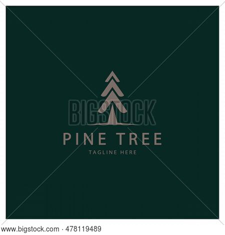 Simple Pine Or Fir Tree Logo,evergreen.for Pine Forest,adventurers,camping,nature,badges And Busines