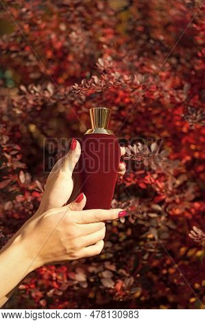 Red Perfumery Bottle In Hand. Presenting Perfumery Bottle. Presenting Perfumery Product