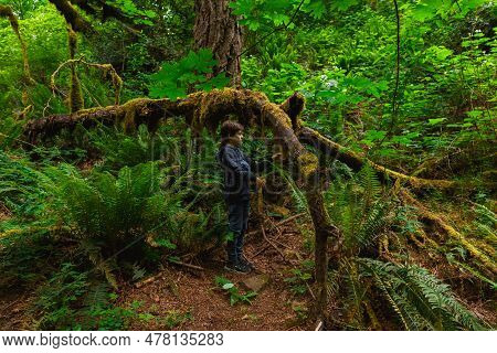 Exciting Hiking Journey Along The Curvy Trail Nestled Within The Captivating Forest Of Lacamas Park.