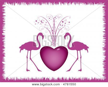 卡与心和火烈鸟