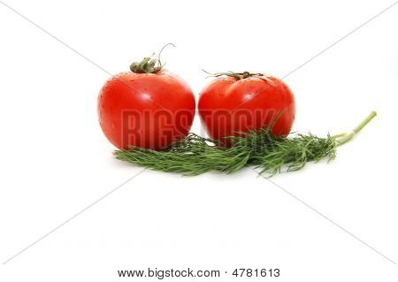 Due pomodori e finocchio