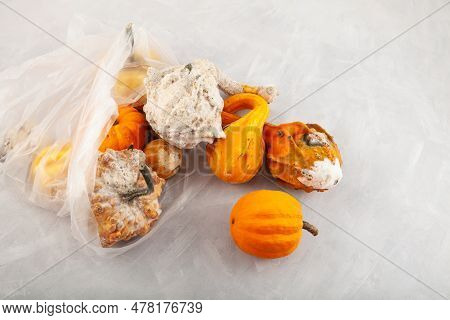 Rotten Spoiled Pumpkins In Plastic Bag. Top View. Ugly Moldy Vegetables. Concept - Improper Food Sto