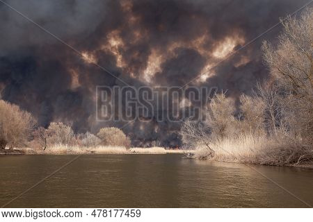 Disaster. Fire Mercilessly Destroys Flora And Fauna. Fire In National Park. Russia. Burning Reeds On