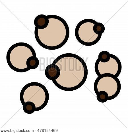 Lentil Cereal Icon. Outline Lentil Cereal Vector Icon For Web Design Isolated On White Background Co