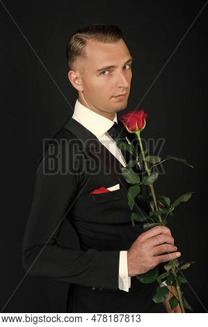 Tuxedo Man At Valentines Day. Tuxedo Man Hold Valentines Rose. Love Occasion