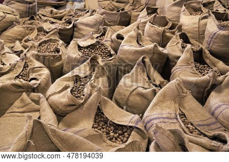 Sacks Full Of Nutmeg. Sacks With Nutmeg. Sacks And Nutmeg. Photo Of Nutmeg In Sacks At Warehouse
