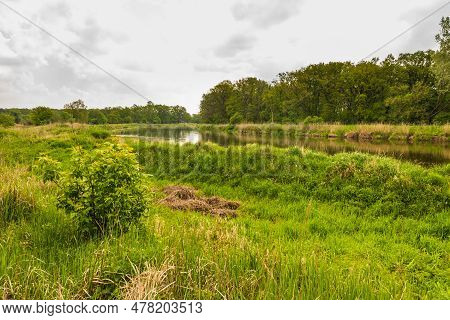 Summer Day Over Warta River In Warta Landscape Park, Rogalin, Poland.