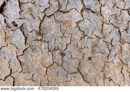 The Surface Of A Dried-up Reservoir, The Texture Of Dried Soil After The Dry Season. Close-up.