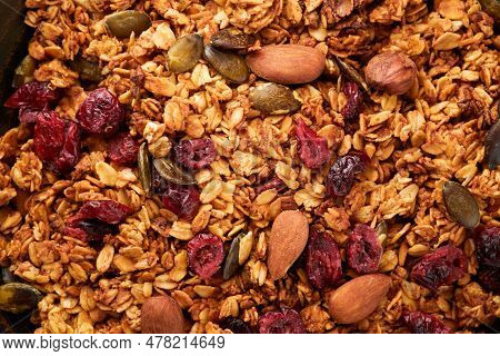 Homemade Granola With Greek Yogurt Or Milk And Cashews, Almonds, Pumpkin With Dried Cranberry Seeds 
