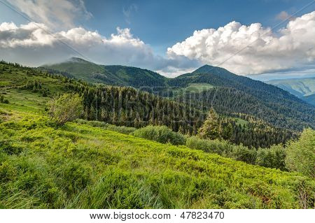 Karpaty