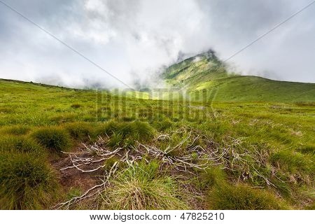 Karpaty